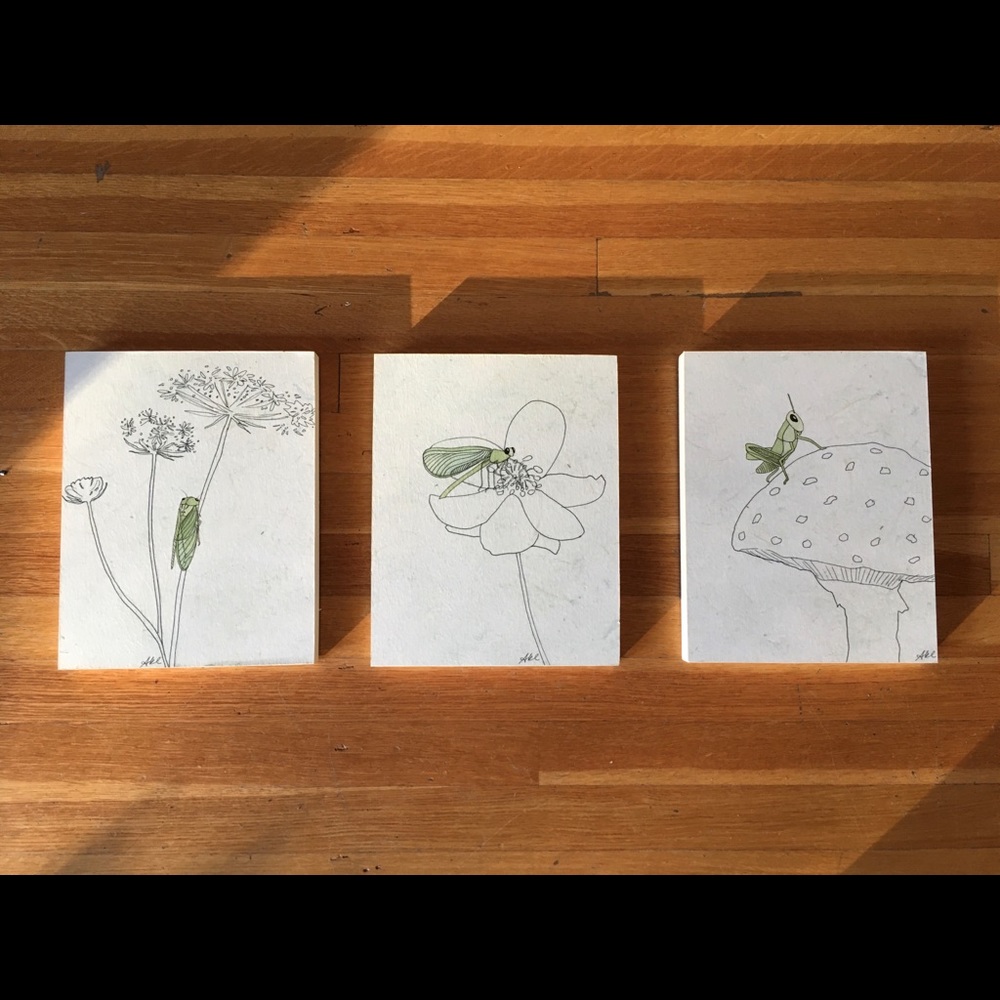 Series of insect prints.